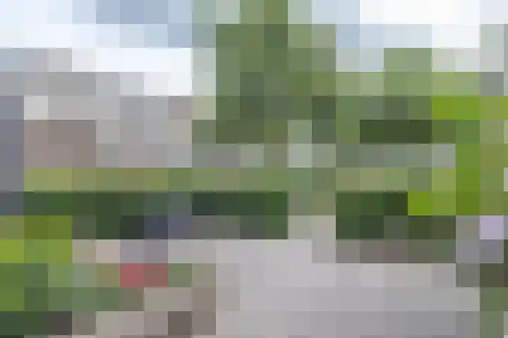 Ophemerthof 53 Amsterdam thumbnail 14