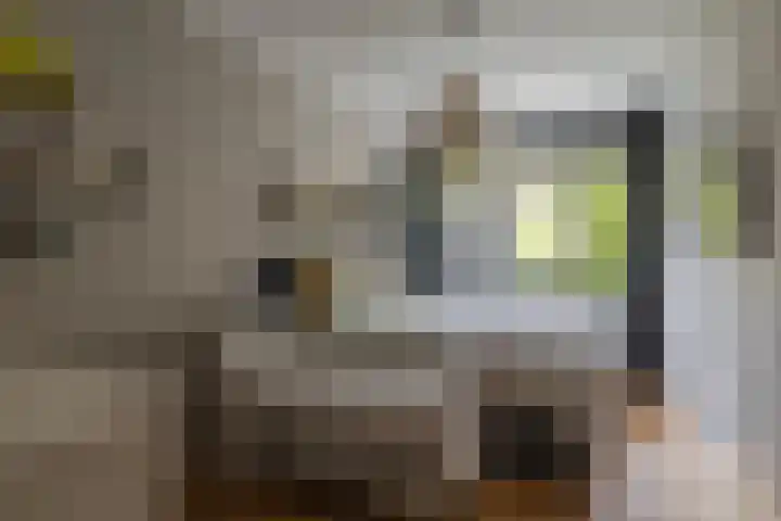 Ophemerthof 53 Amsterdam thumbnail 16