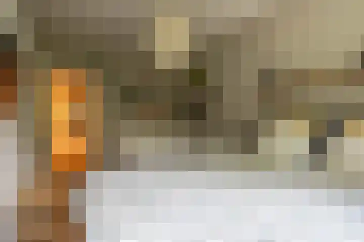 Ophemerthof 53 Amsterdam thumbnail 17