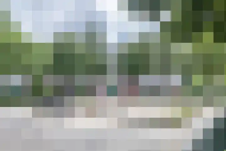 Ophemerthof 53 Amsterdam thumbnail 22