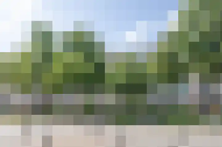 Ophemerthof 53 Amsterdam thumbnail 23