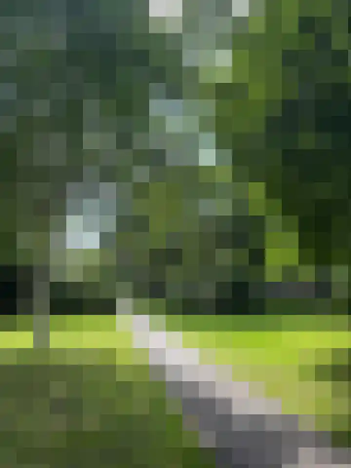 Ophemerthof 53 Amsterdam thumbnail 25