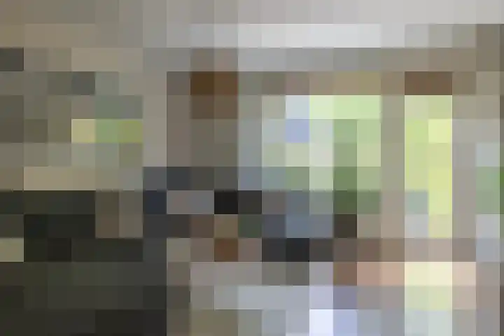 Ophemerthof 53 Amsterdam thumbnail 8