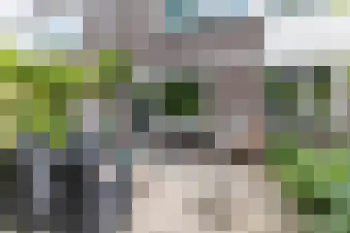 Ophemerthof 53 Amsterdam thumbnail 9