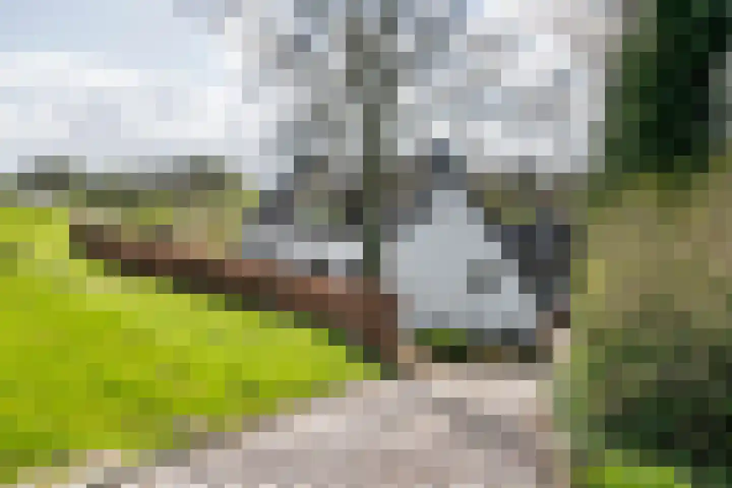 Ophemertsedijk 40 Tiel thumbnail 11
