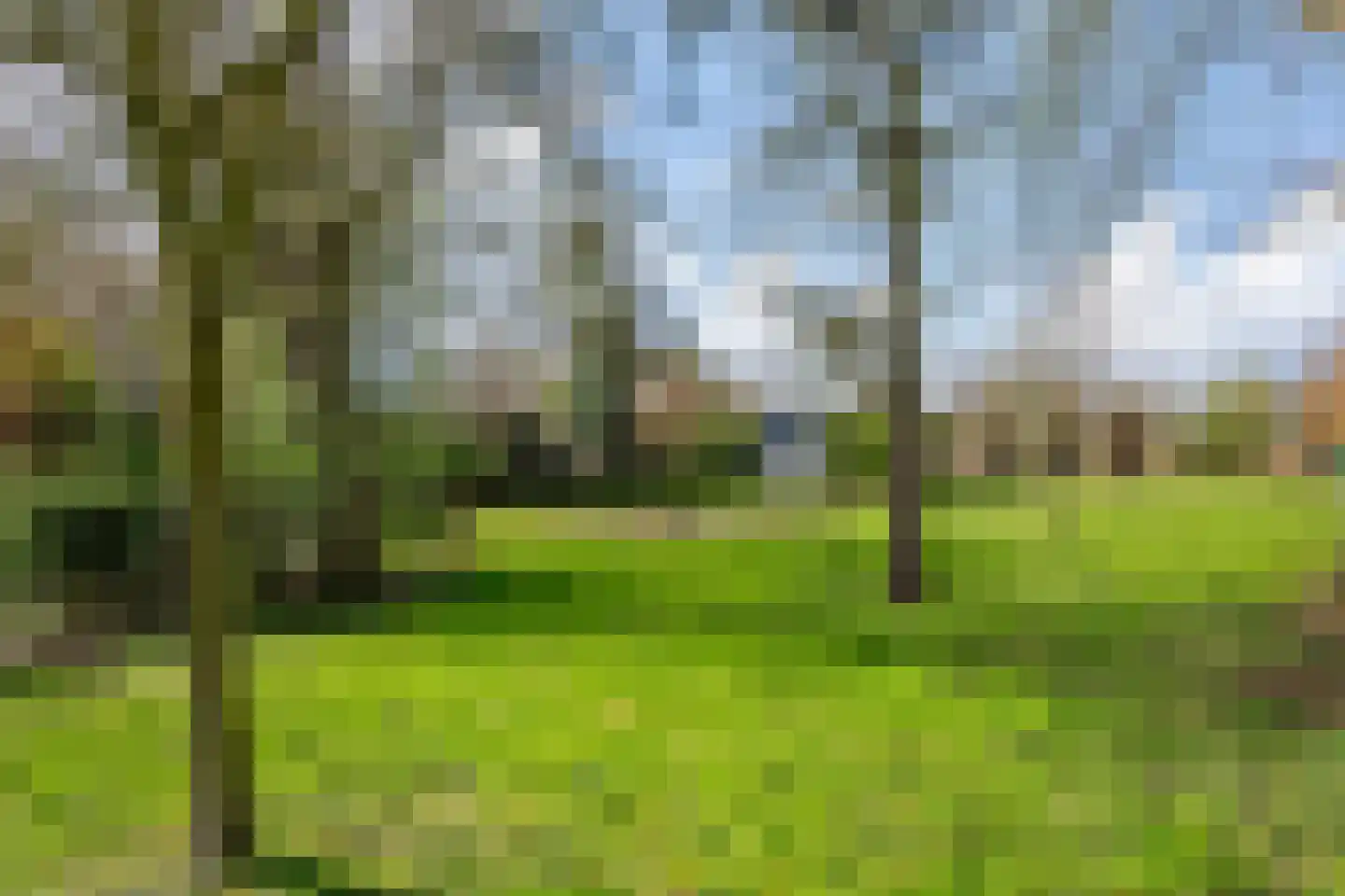 Ophemertsedijk 40 Tiel thumbnail 15