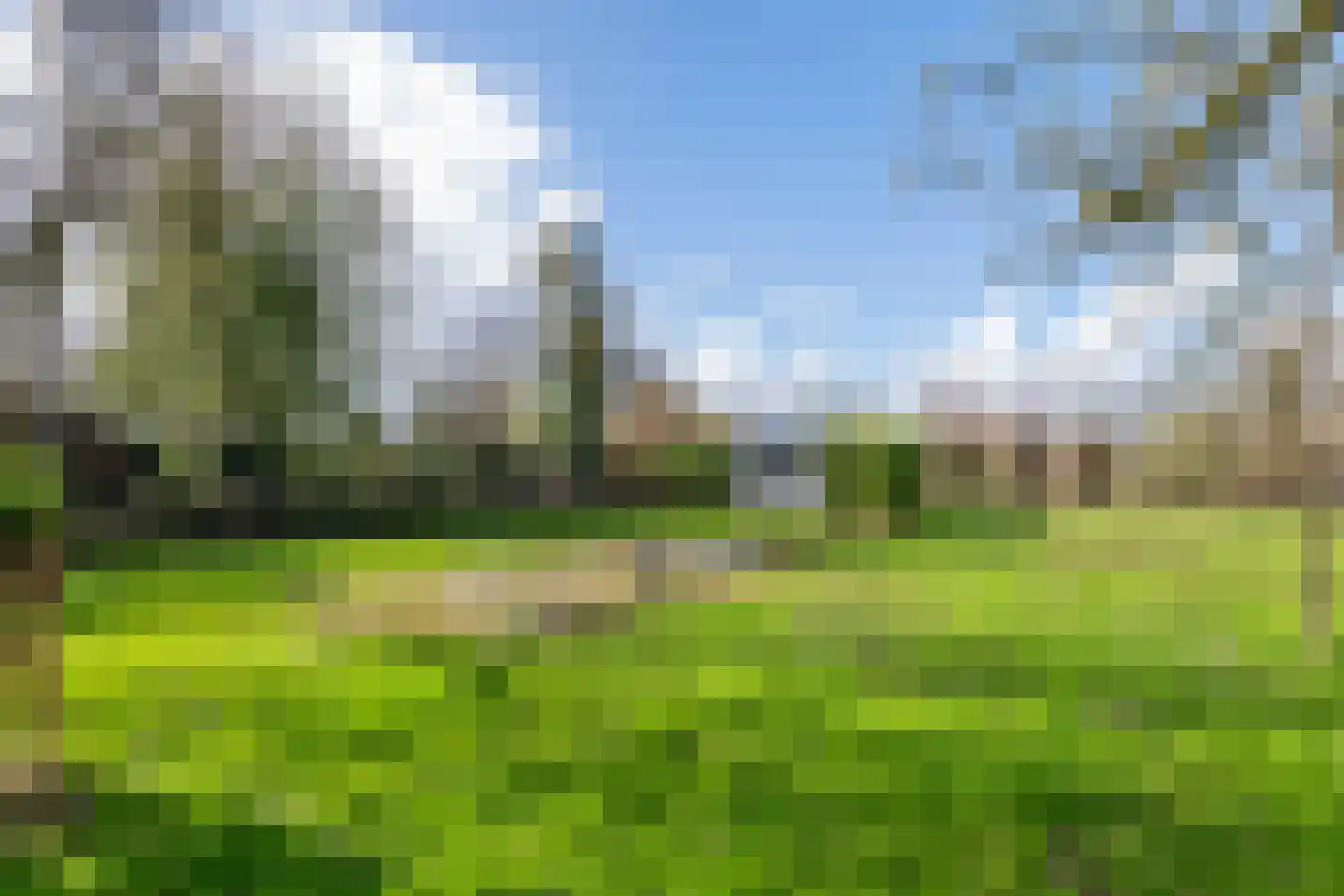 Ophemertsedijk 40 Tiel thumbnail 16