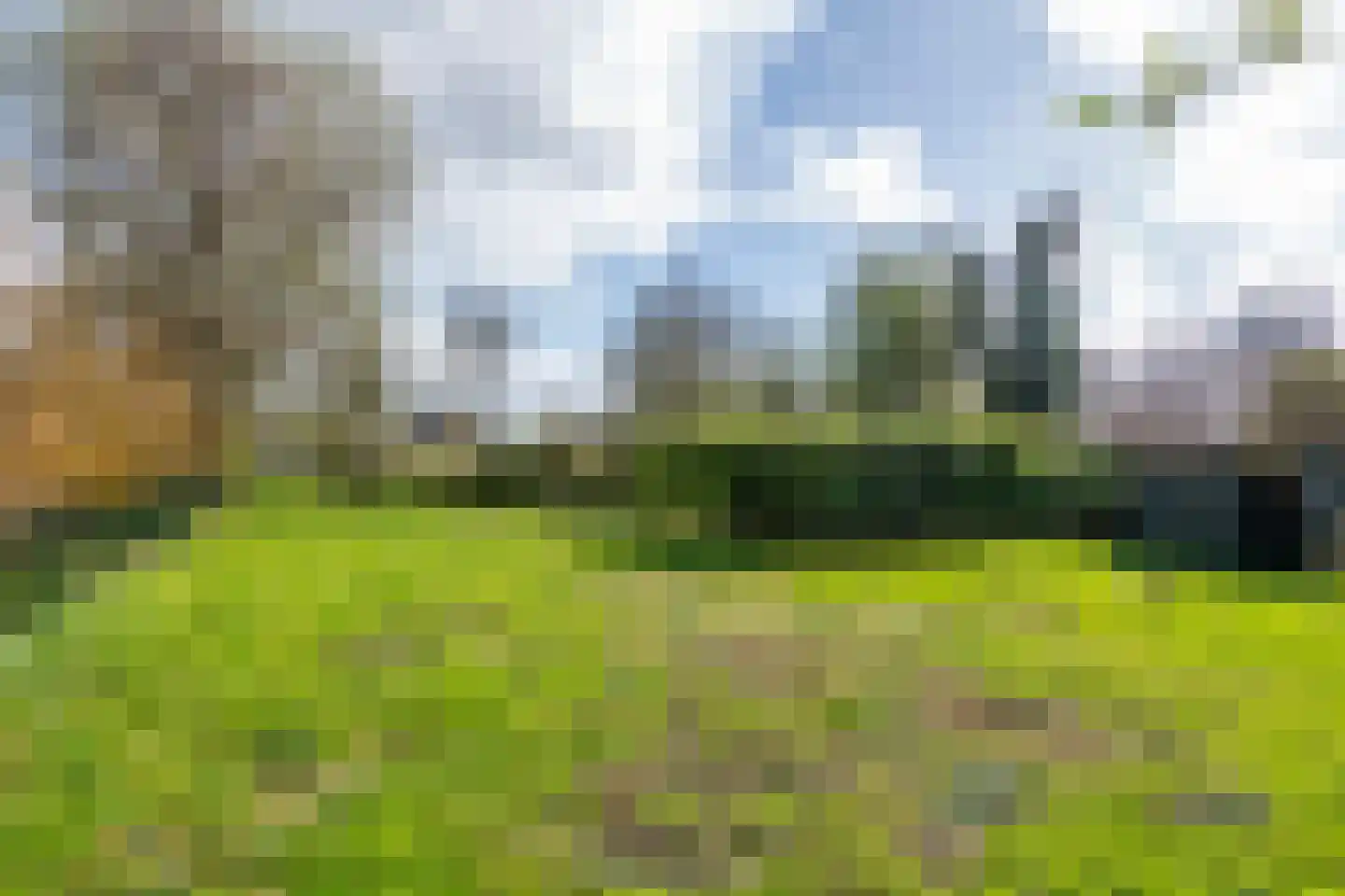 Ophemertsedijk 40 Tiel thumbnail 17