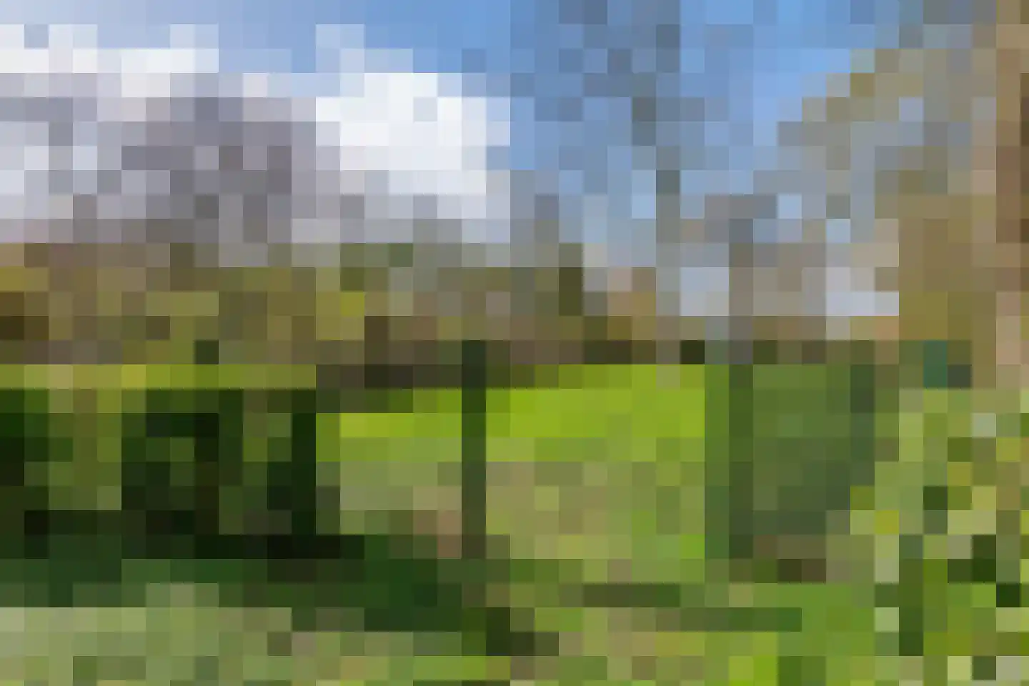Ophemertsedijk 40 Tiel foto 3