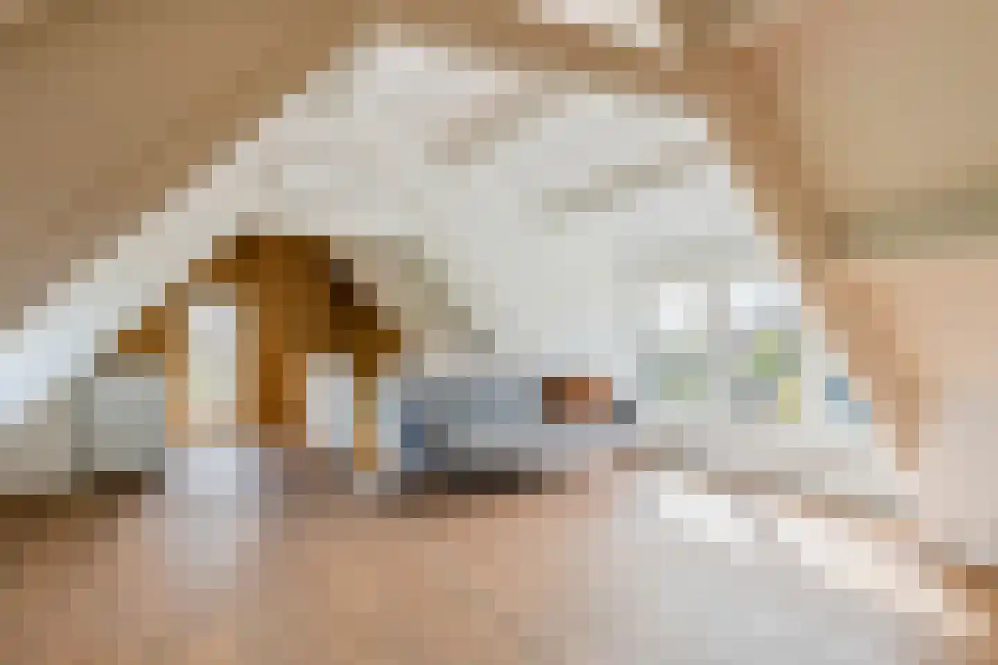 Ophemertsedijk 40 Tiel thumbnail 41