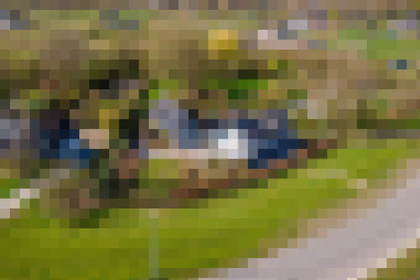 Ophemertsedijk 40 Tiel thumbnail 89