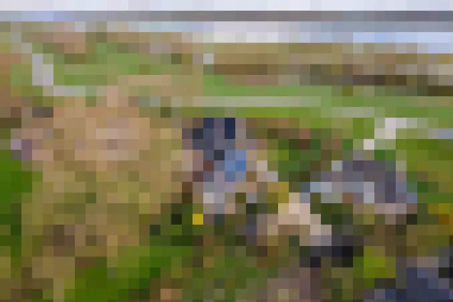 Ophemertsedijk 40 Tiel thumbnail 98
