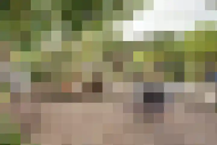 Ophemertsedijk 44 Tiel thumbnail 30