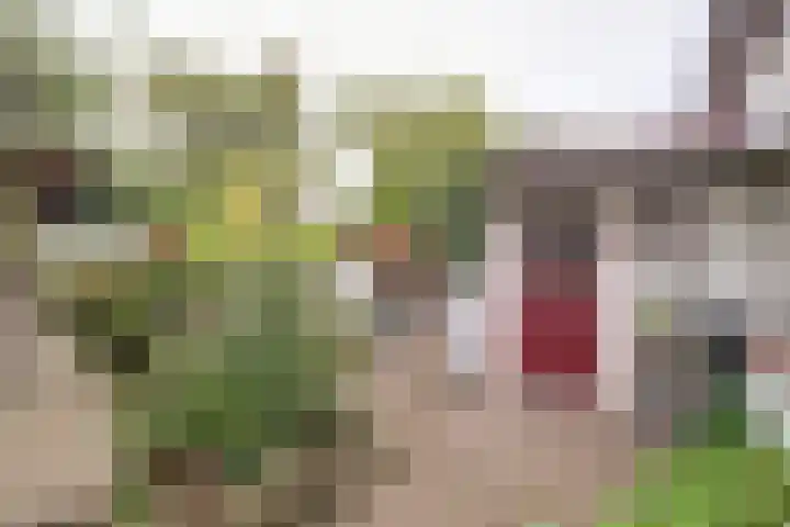 Ophemertsedijk 44 Tiel thumbnail 31