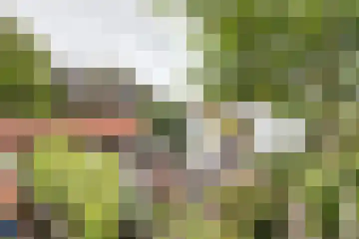 Ophemertsedijk 44 Tiel thumbnail 32