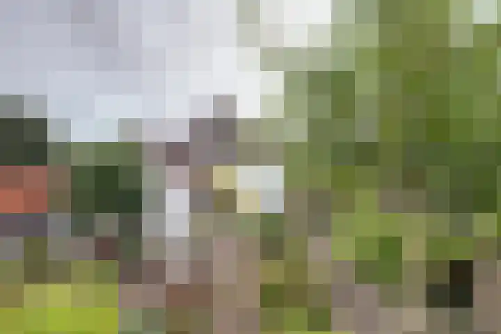 Ophemertsedijk 44 Tiel thumbnail 36