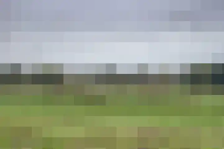 Ophemertsedijk 44 Tiel thumbnail 37