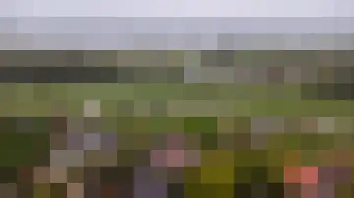 Ophemertsedijk 44 Tiel thumbnail 43