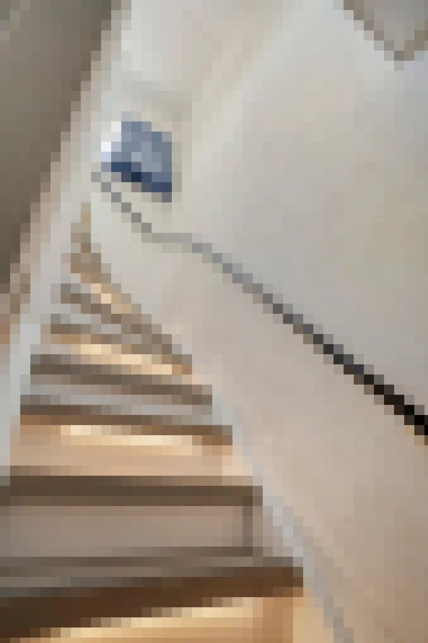 Ophemertstraat 63 Tilburg thumbnail 24