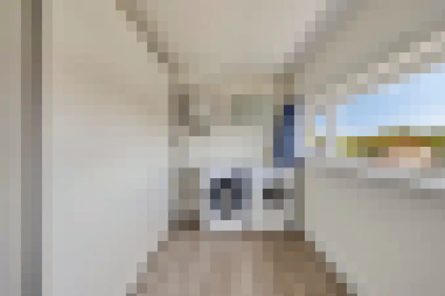 Ophemertstraat 63 Tilburg thumbnail 26