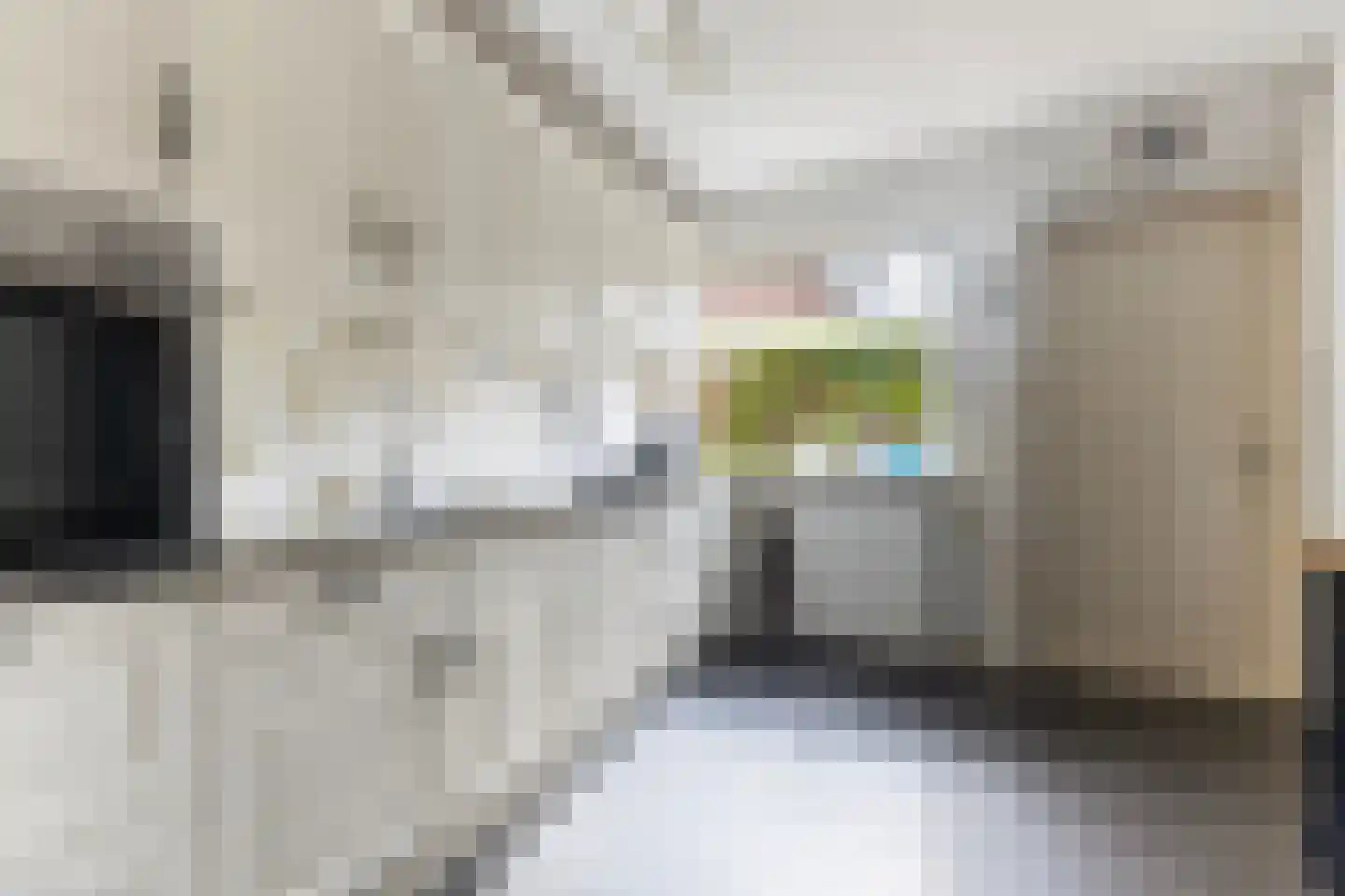 Ophirstrjitte 11 Stiens thumbnail 15