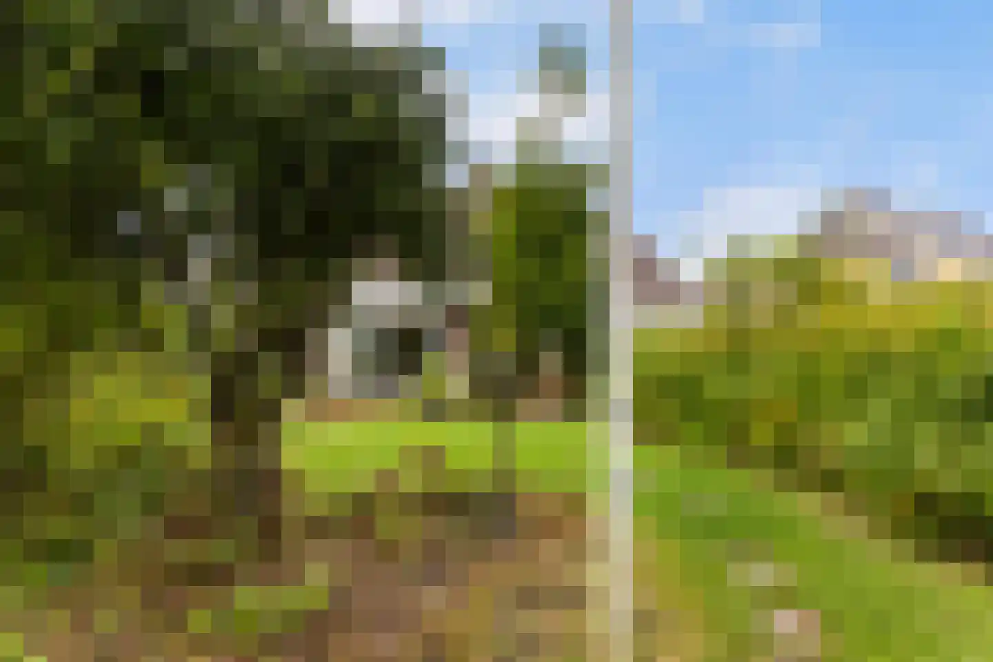 Ophirstrjitte 11 Stiens thumbnail 37