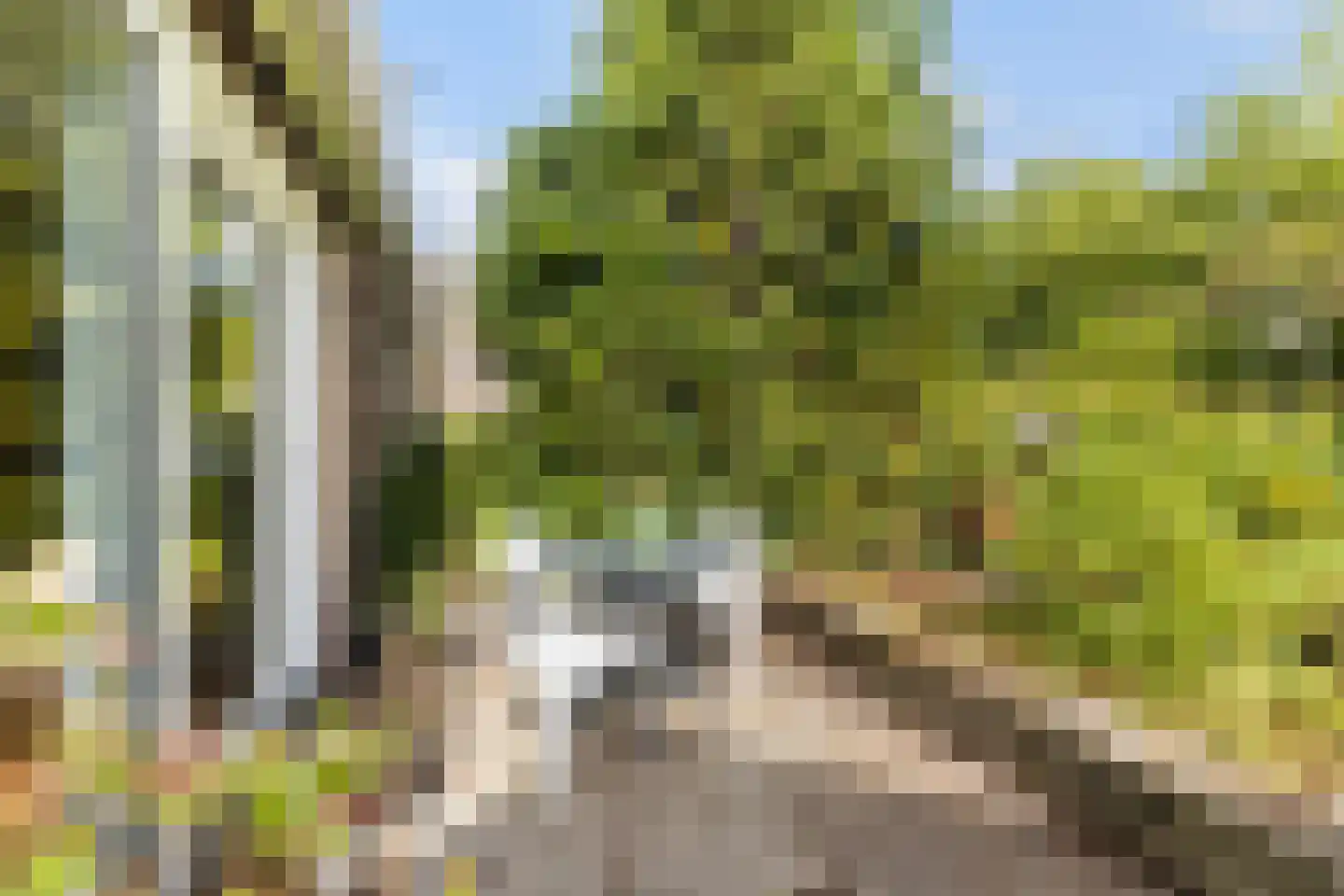 Ophirstrjitte 11 Stiens thumbnail 38