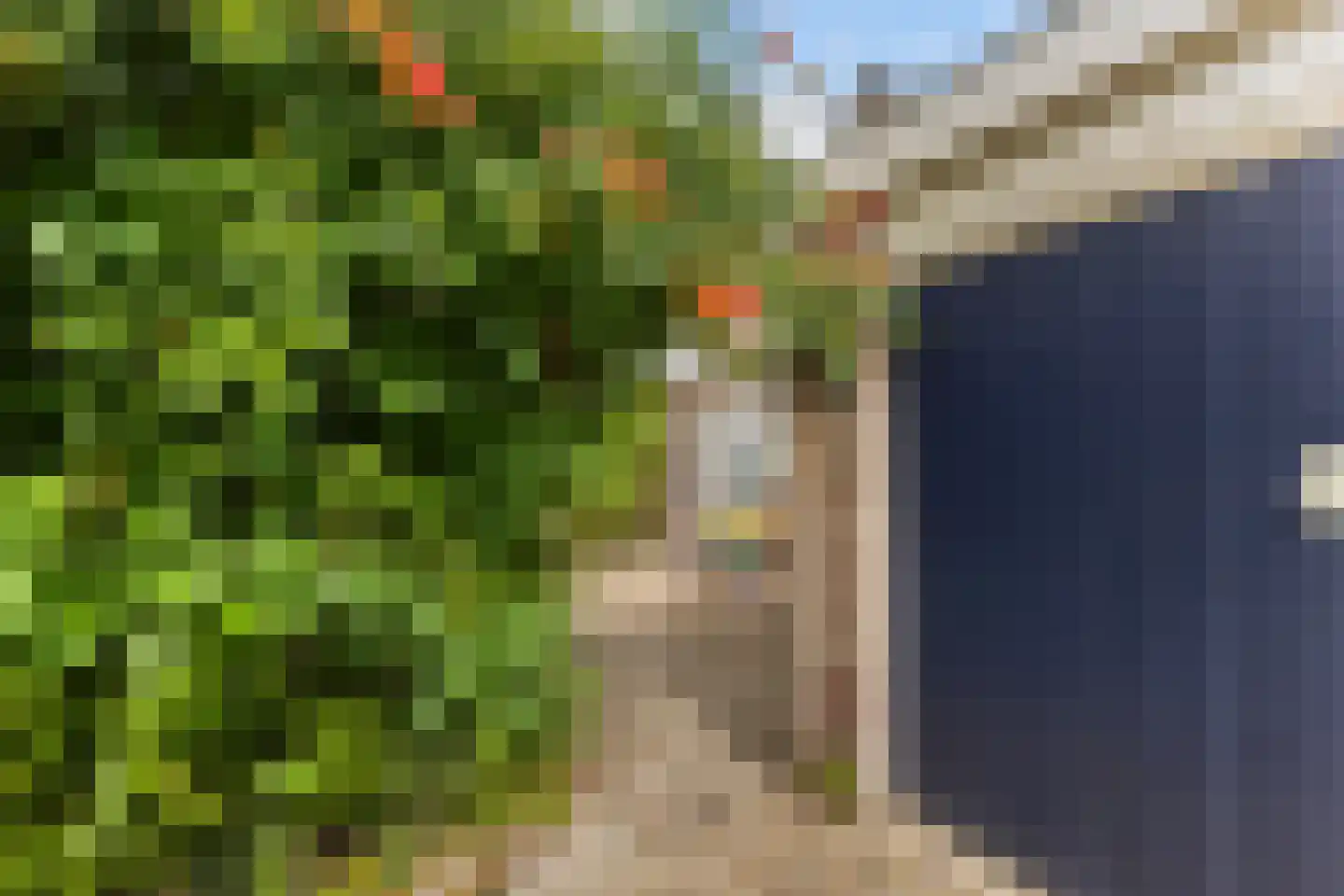 Ophirstrjitte 11 Stiens thumbnail 41