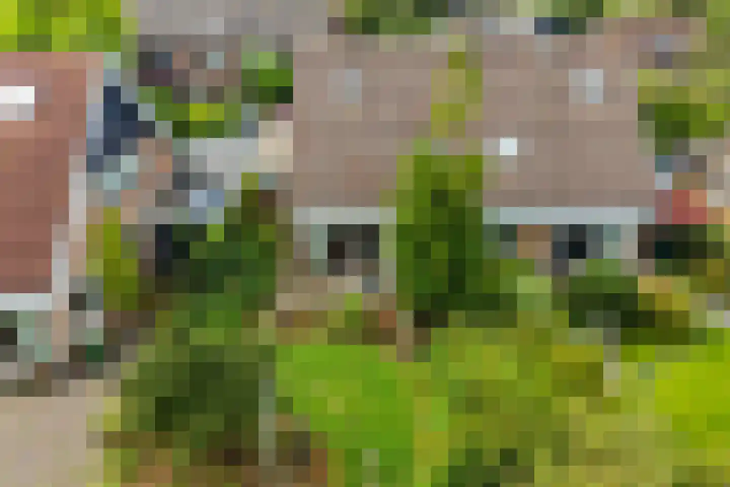 Ophirstrjitte 11 Stiens thumbnail 44