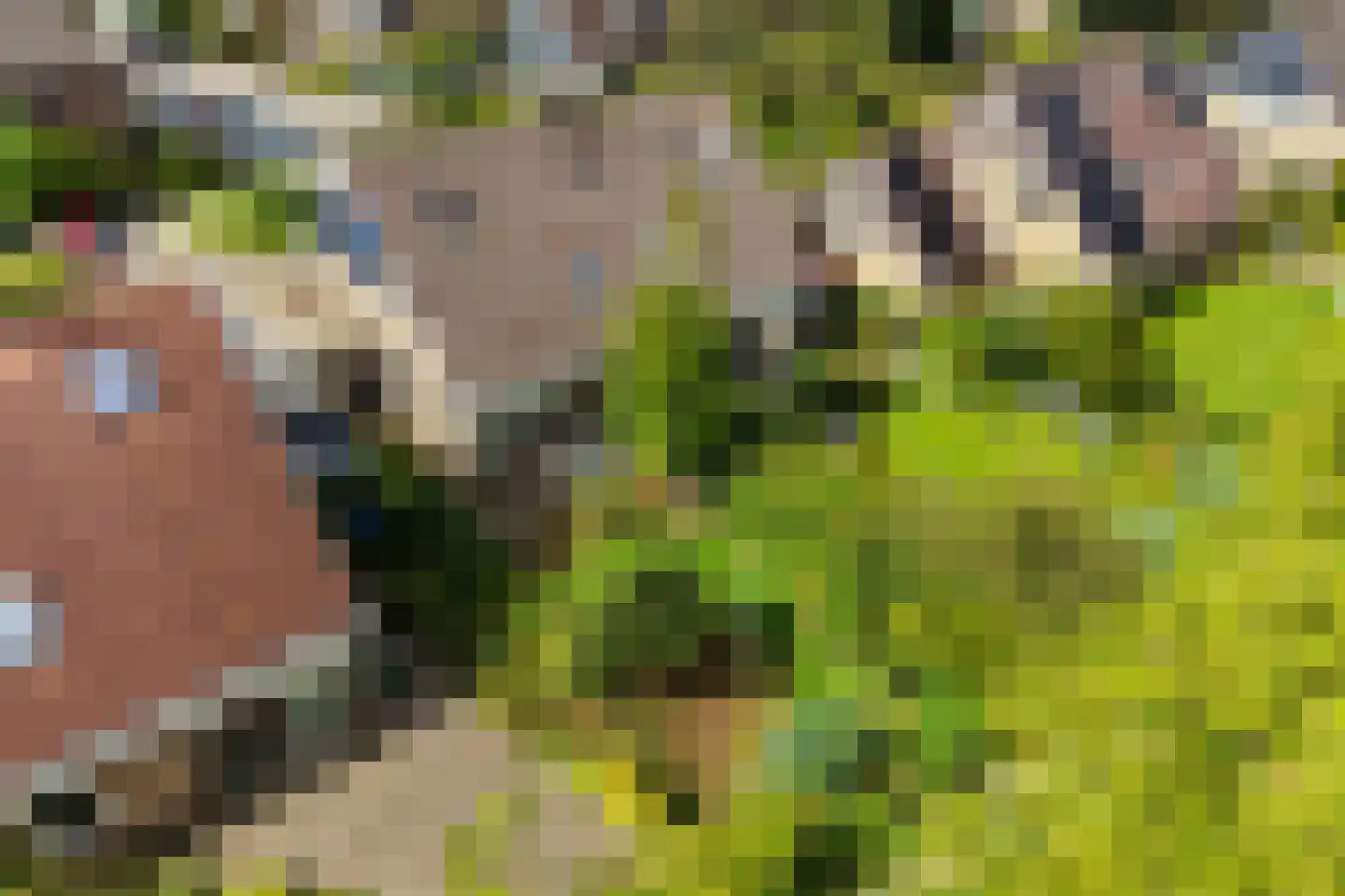 Ophirstrjitte 11 Stiens thumbnail 45