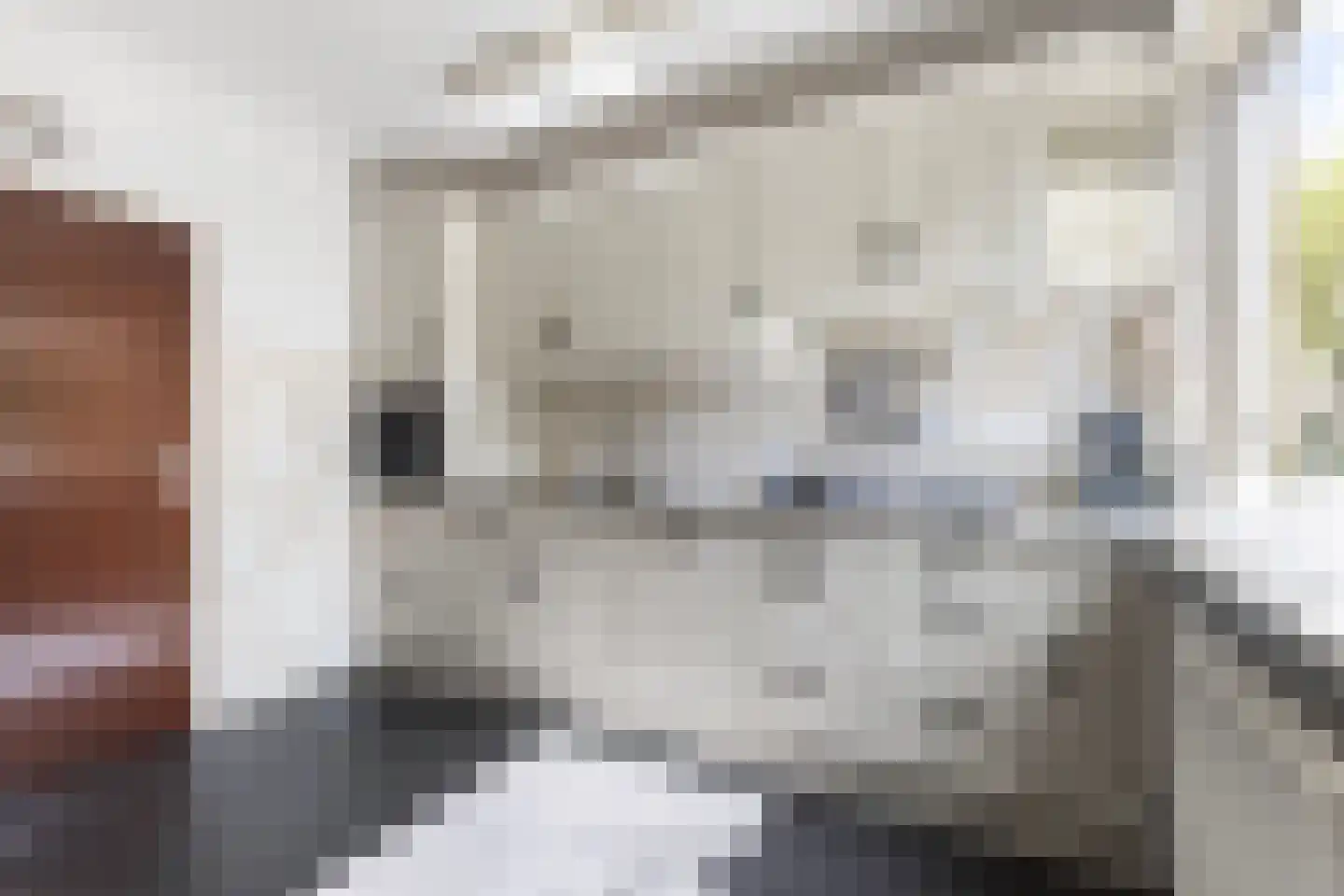 Ophirstrjitte 11 Stiens thumbnail 5
