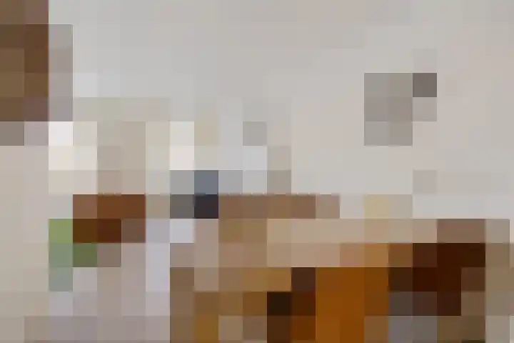 Ophirstrjitte 13 Stiens thumbnail 10