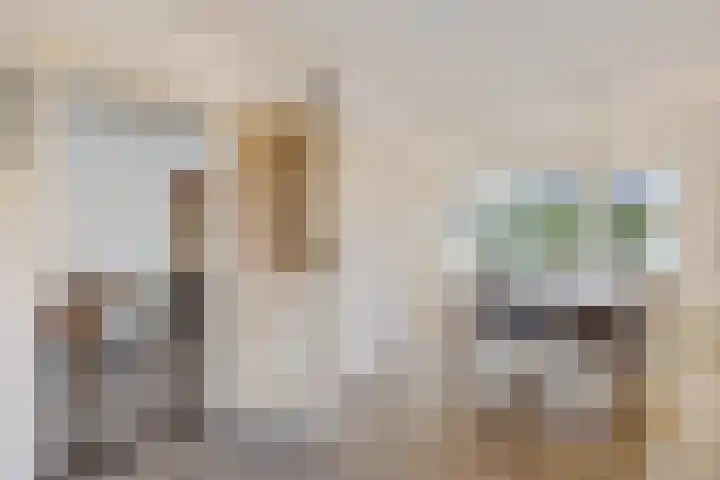 Ophirstrjitte 13 Stiens thumbnail 11