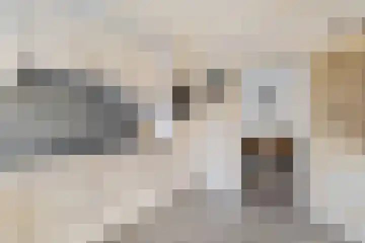 Ophirstrjitte 13 Stiens thumbnail 12