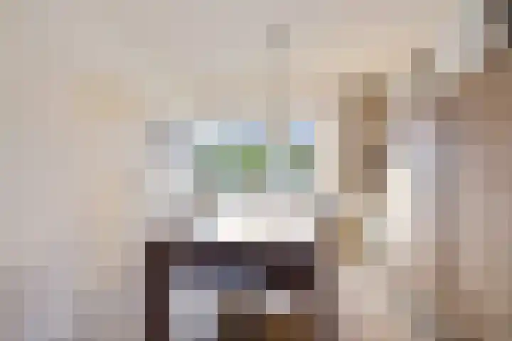 Ophirstrjitte 13 Stiens thumbnail 13