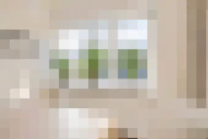 Ophirstrjitte 13 Stiens thumbnail 14