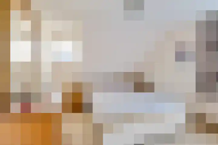 Ophirstrjitte 13 Stiens thumbnail 21