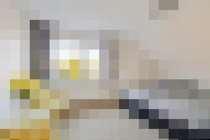 Ophirstrjitte 13 Stiens thumbnail 23