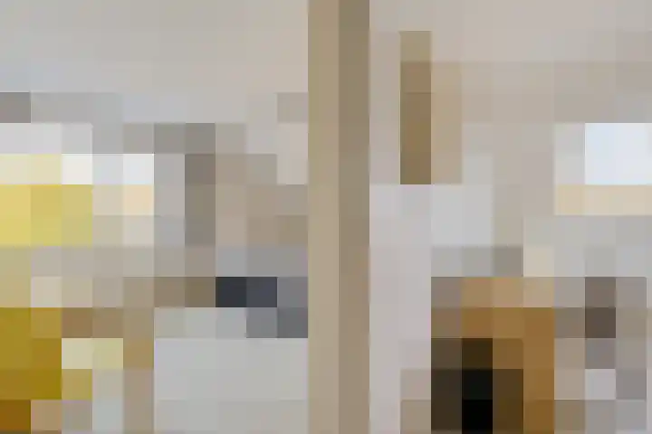 Ophirstrjitte 13 Stiens thumbnail 25
