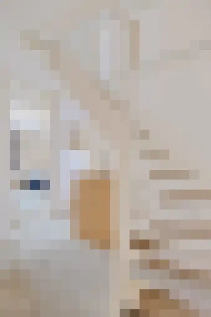 Ophirstrjitte 13 Stiens thumbnail 30