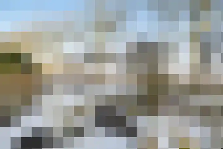 Ophirstrjitte 13 Stiens thumbnail 34