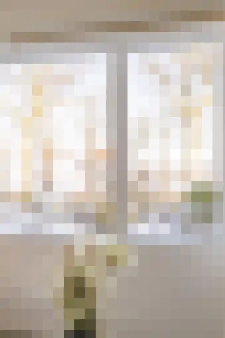 Ophirstrjitte 13 Stiens thumbnail 5