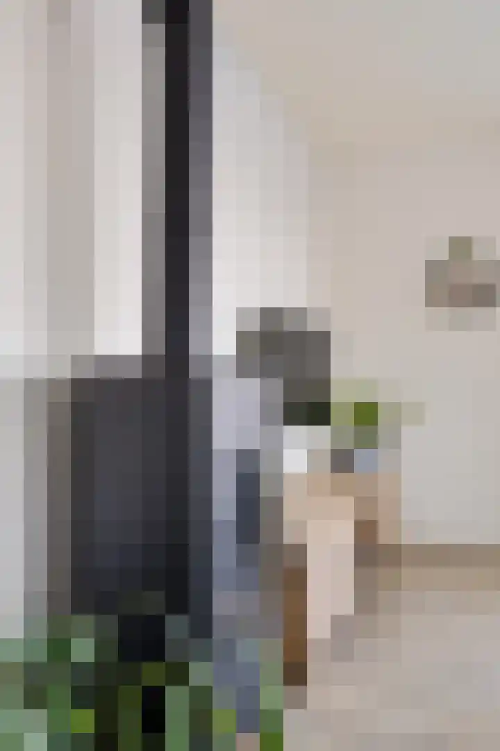 Ophirstrjitte 13 Stiens thumbnail 7