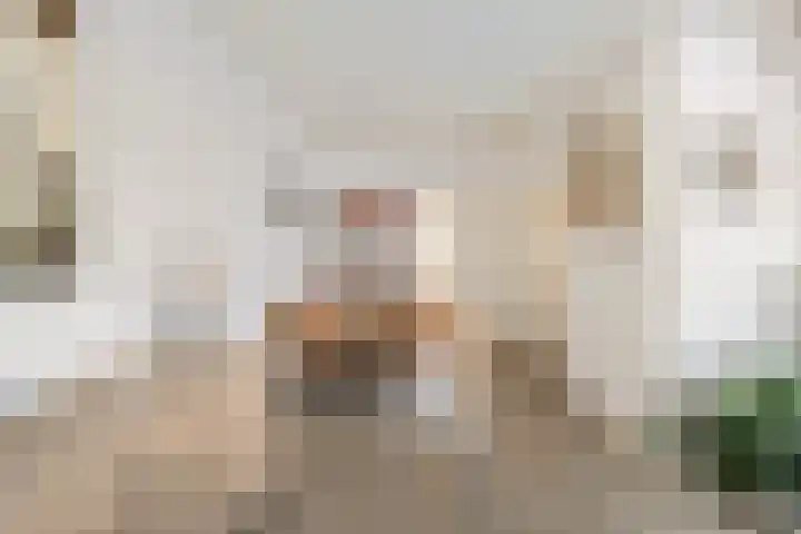Ophirstrjitte 13 Stiens thumbnail 8