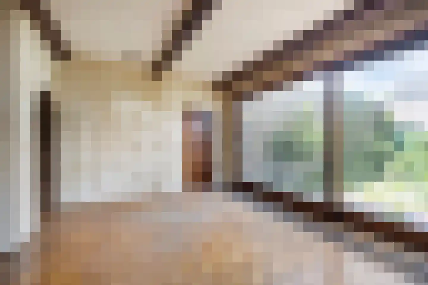 Ophoven 113 Sittard thumbnail 18