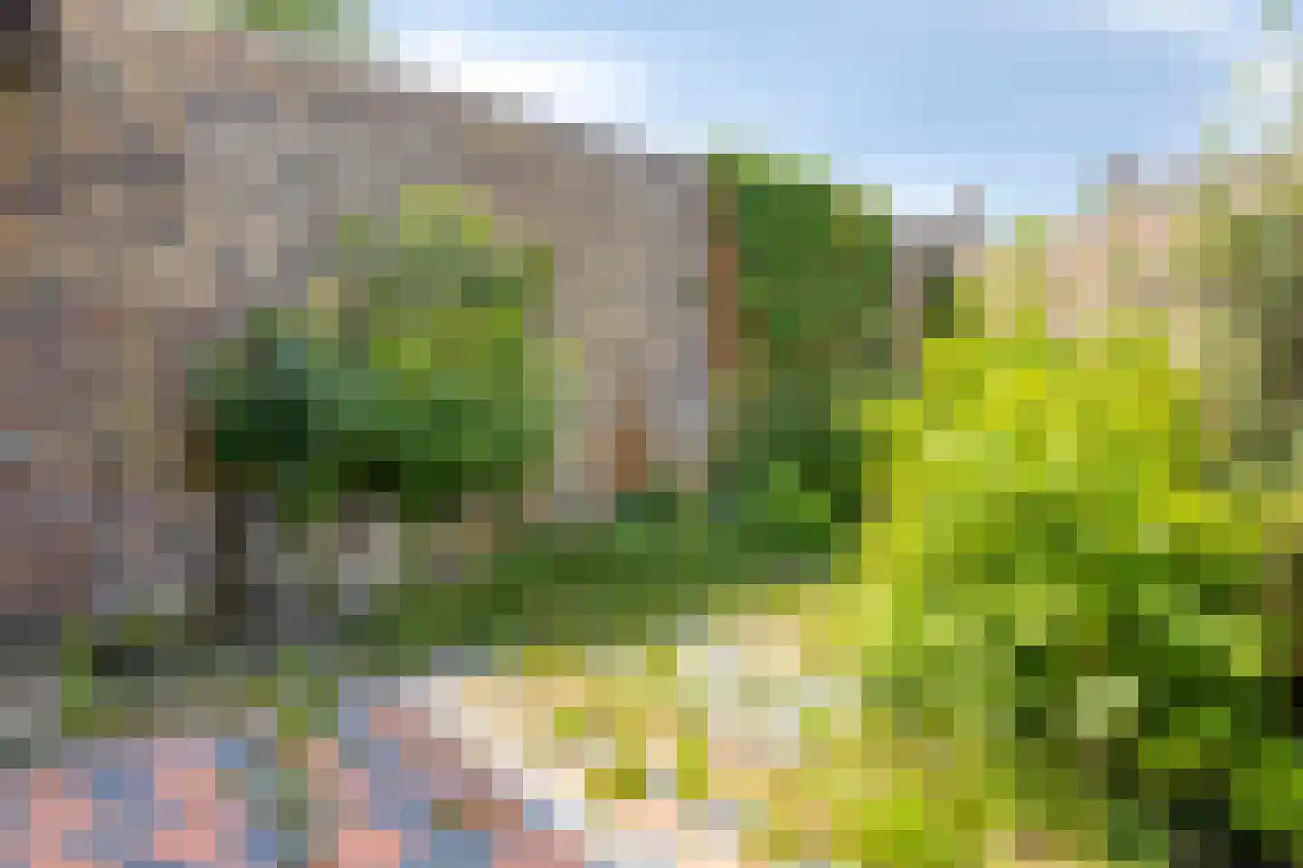 Ophoven 113 Sittard thumbnail 20