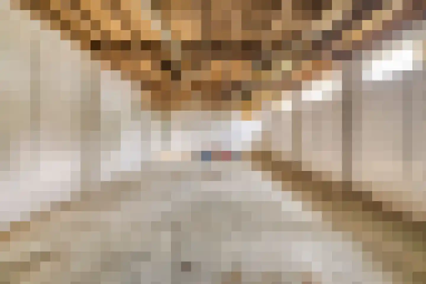 Ophoven 113 Sittard thumbnail 35