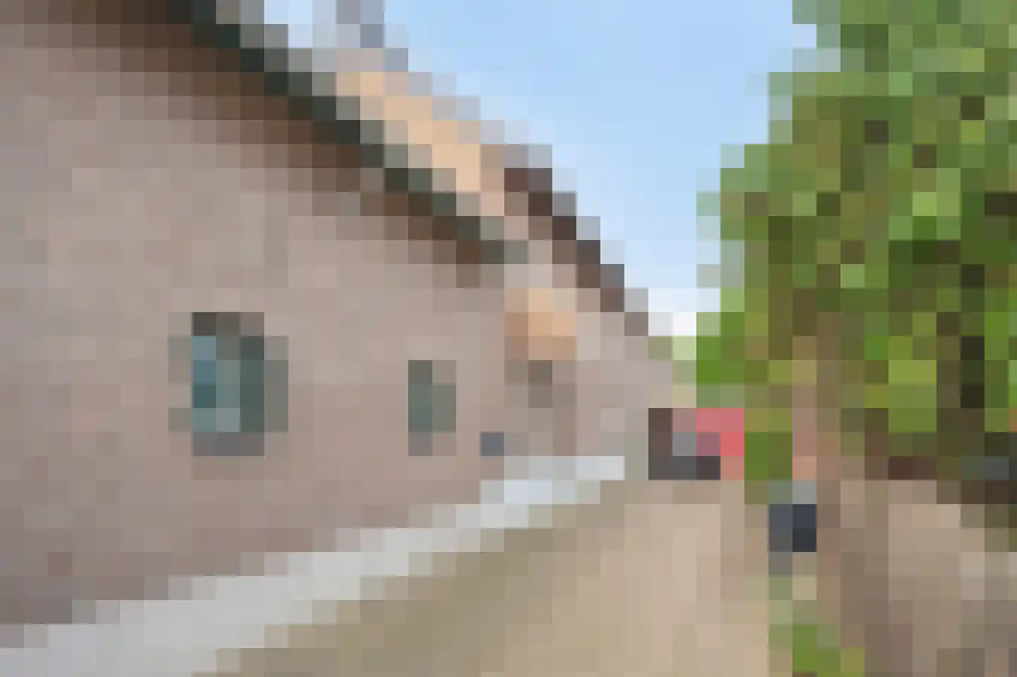Ophoven 137 Sittard thumbnail 6