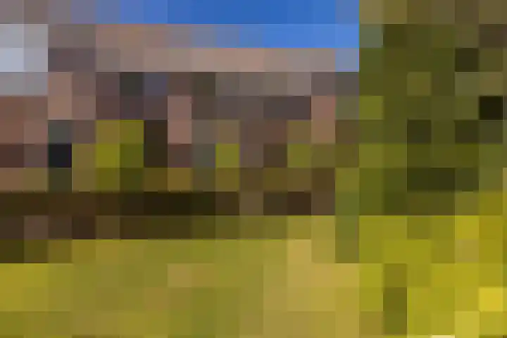 Ophoven 53 Sittard thumbnail 10