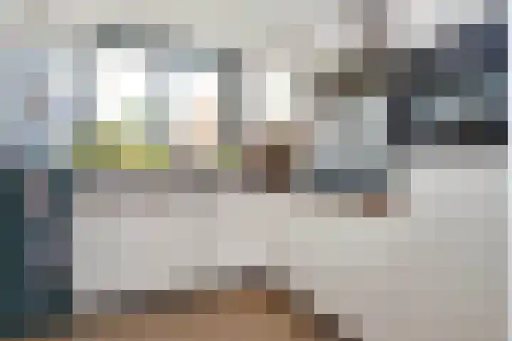 Ophoven 53 Sittard thumbnail 4